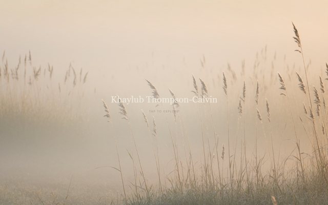 The first screen of Khaylub.com V1: the name over tall grass in morning fog